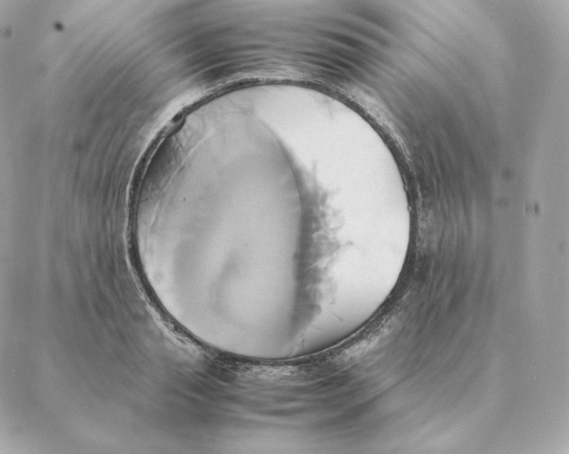 X0000088210845200706051255