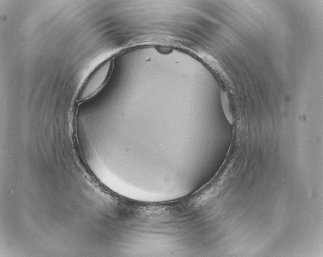 X0000088210846200706051255