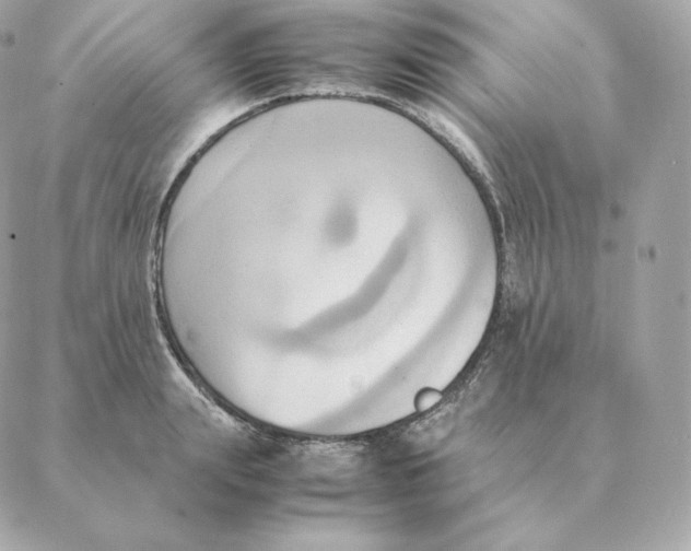 X0000088210847200706051255