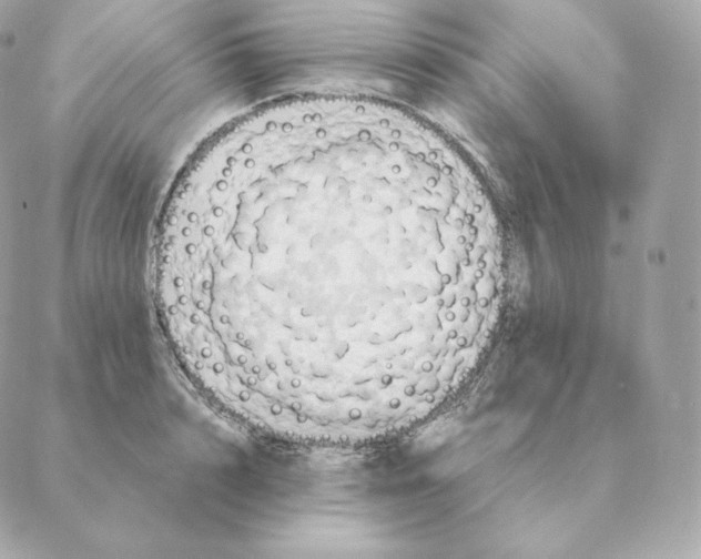 X0000088210848200706051255