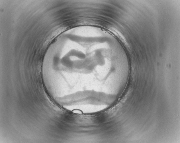 X0000088210849200706051255