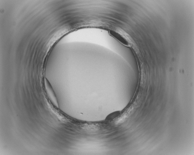 X0000088210850200706051255