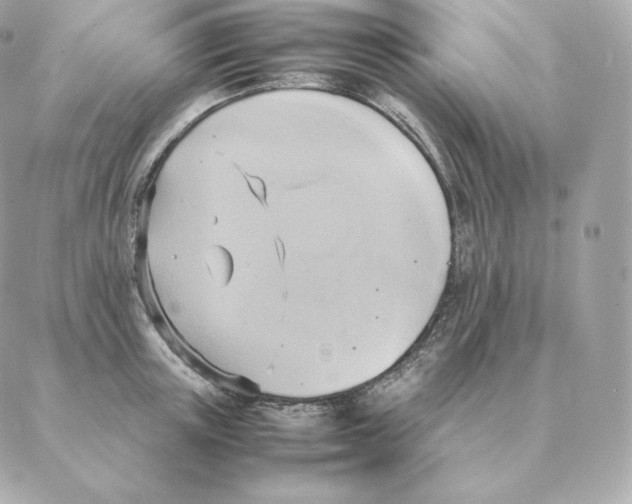 X0000088210851200706051255