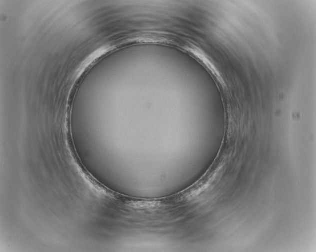 X0000088210853200706051255