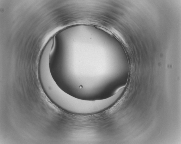 X0000088210854200706051255