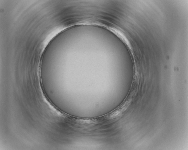 X0000088210855200706051255