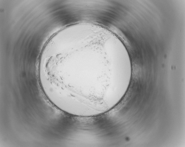 X0000088210856200706051255