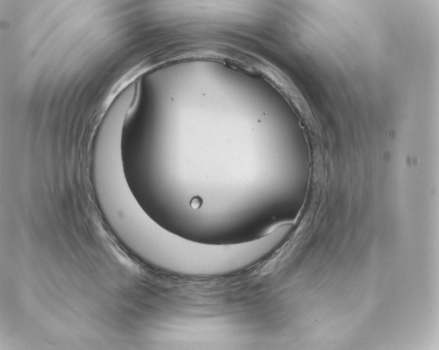 X0000088210858200706051255