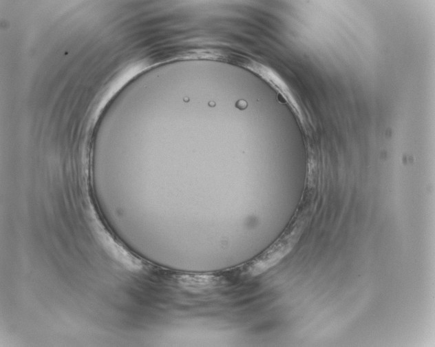 X0000088210859200706051255