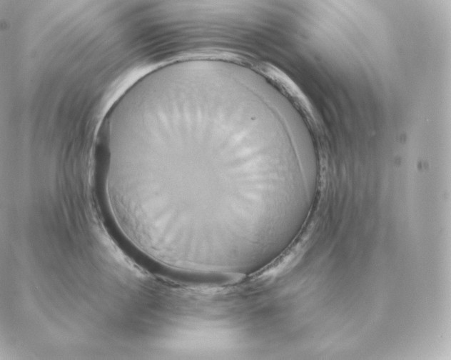 X0000088210860200706051255