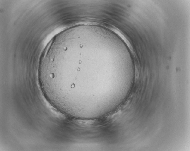 X0000088210861200706051255