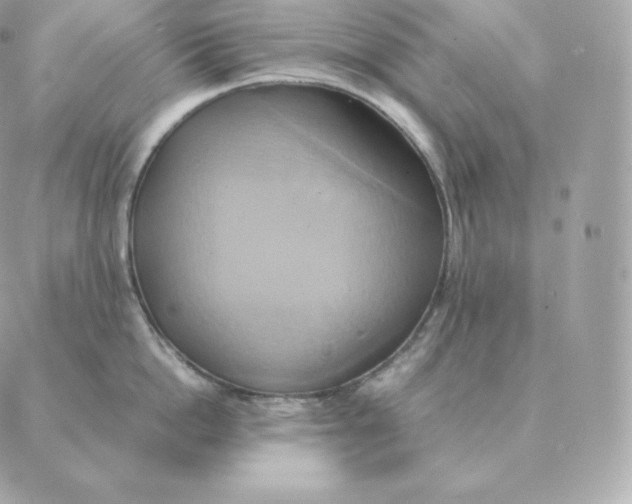 X0000088210862200706051255