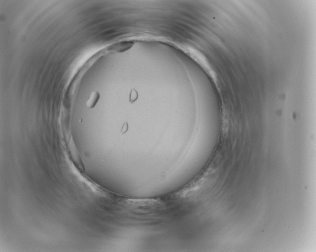 X0000088210863200706051255