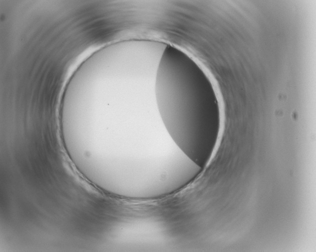 X0000088210864200706051255