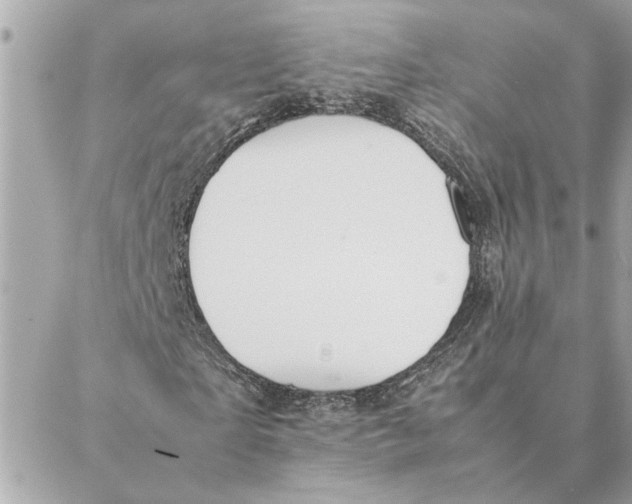 X0000088210865200706051254