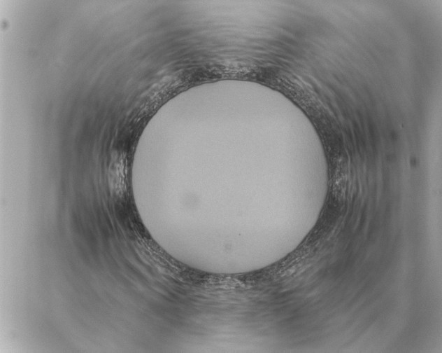 X0000088210866200706051254