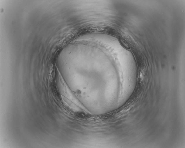 X0000088210867200706051254