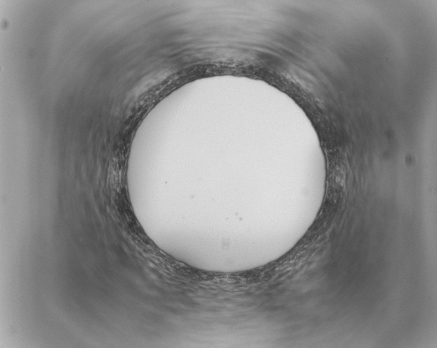 X0000088210869200706051254