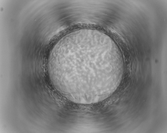 X0000088210870200706051254