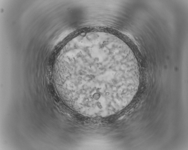 X0000088210871200706051254