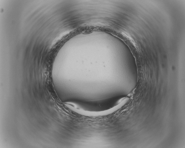 X0000088210872200706051254