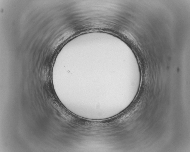 X0000088210873200706051254