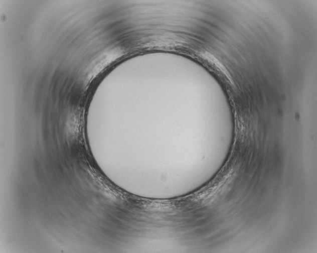 X0000088210874200706051254