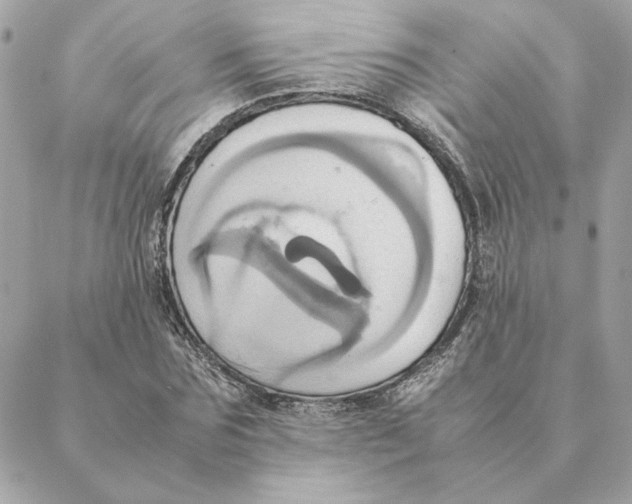 X0000088210875200706051254