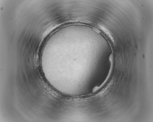 X0000088210876200706051254