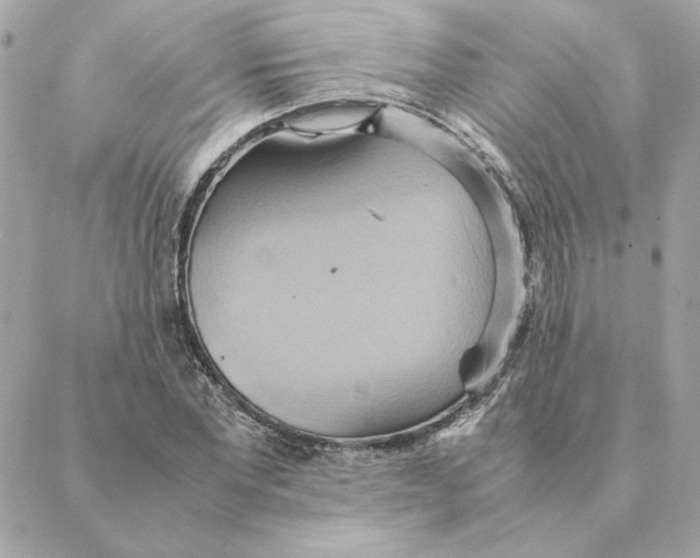 X0000088210877200706051254