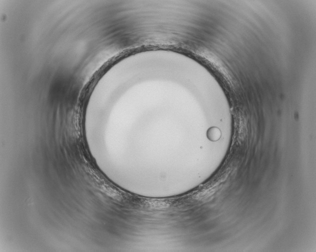 X0000088210878200706051254