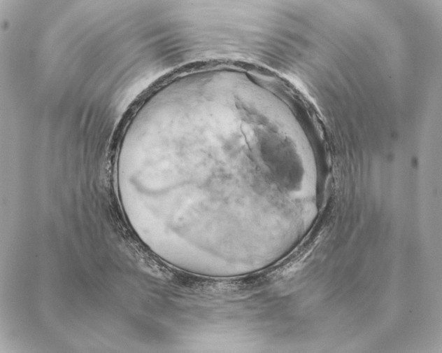 X0000088210879200706051254