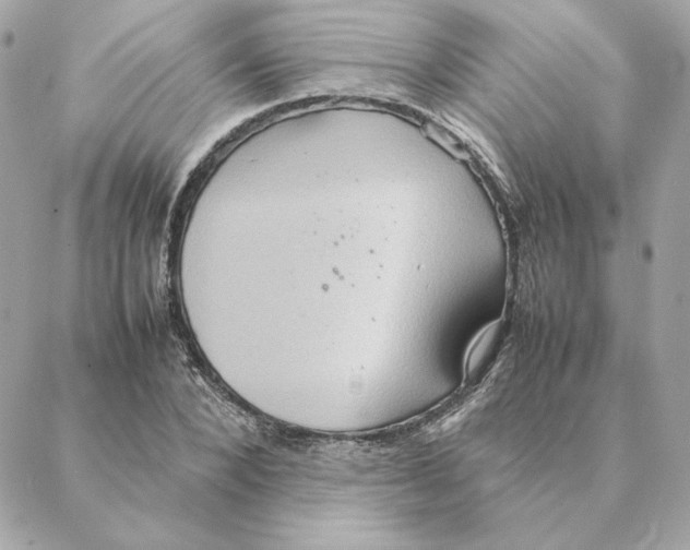 X0000088210880200706051254