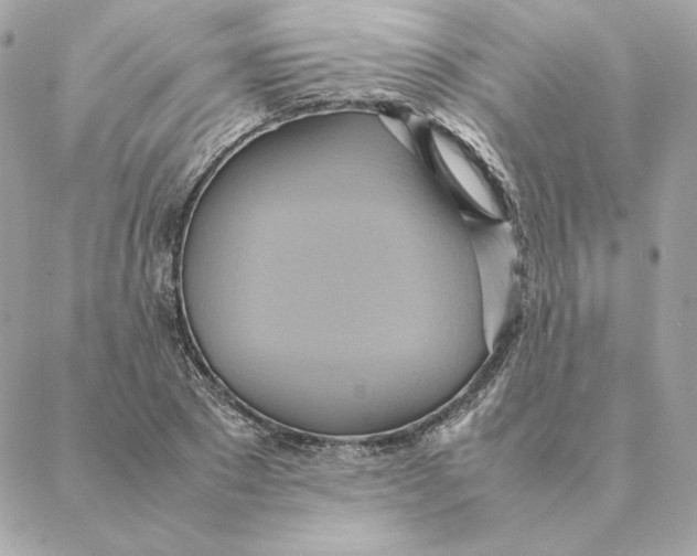 X0000088210881200706051254