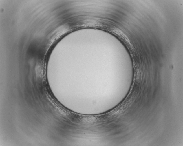 X0000088210882200706051254