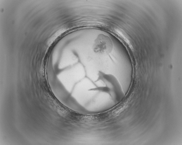 X0000088210883200706051254