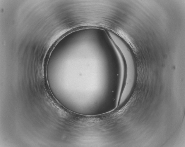 X0000088210884200706051254