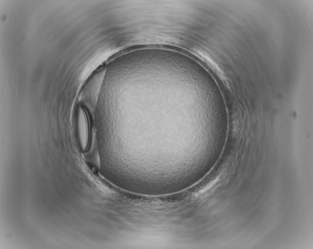 X0000088210885200706051254