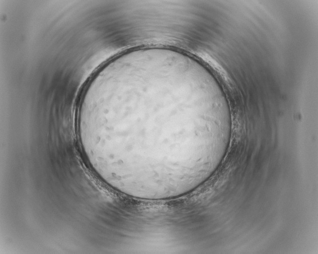 X0000088210886200706051254