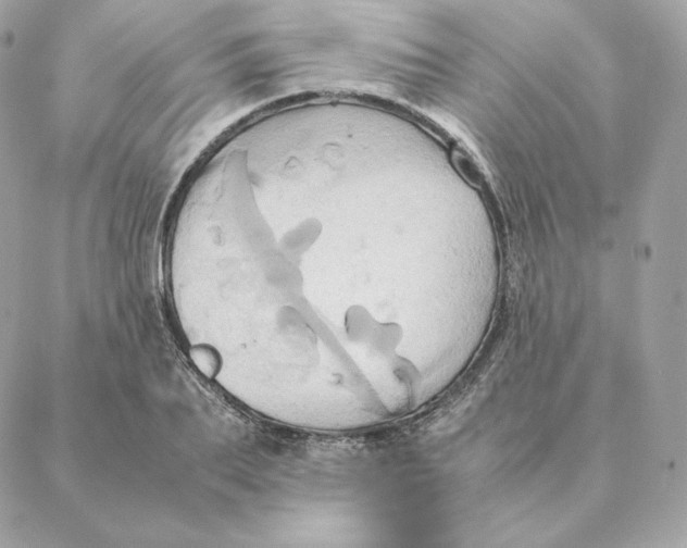 X0000088210887200706051254