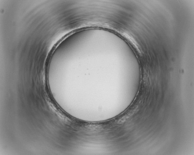 X0000088210888200706051254