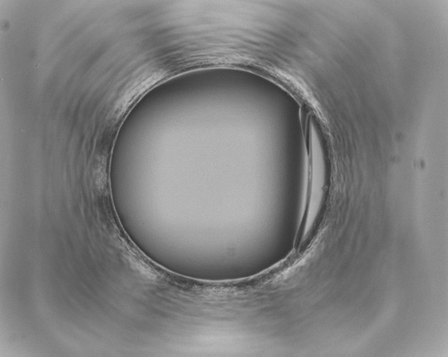 X0000088210889200706051254