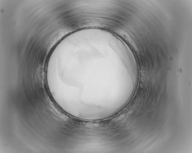 X0000088210890200706051254