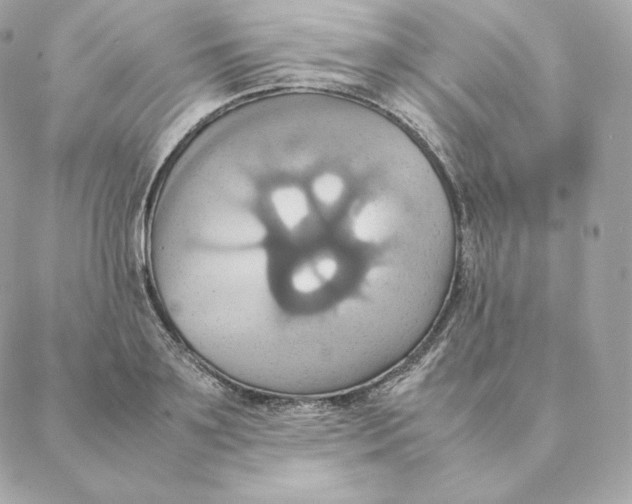 X0000088210891200706051254