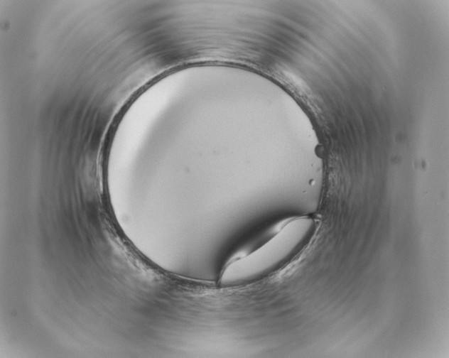 X0000088210892200706051254