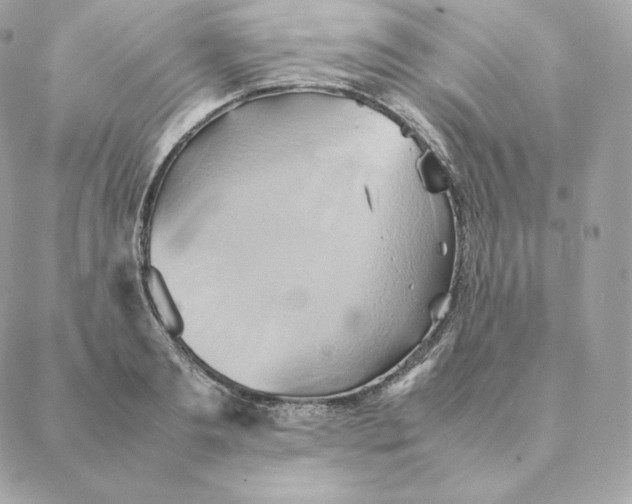 X0000088210893200706051254