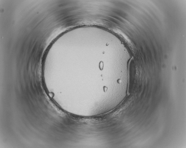 X0000088210894200706051254