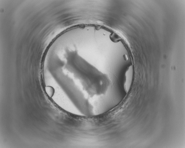 X0000088210895200706051254