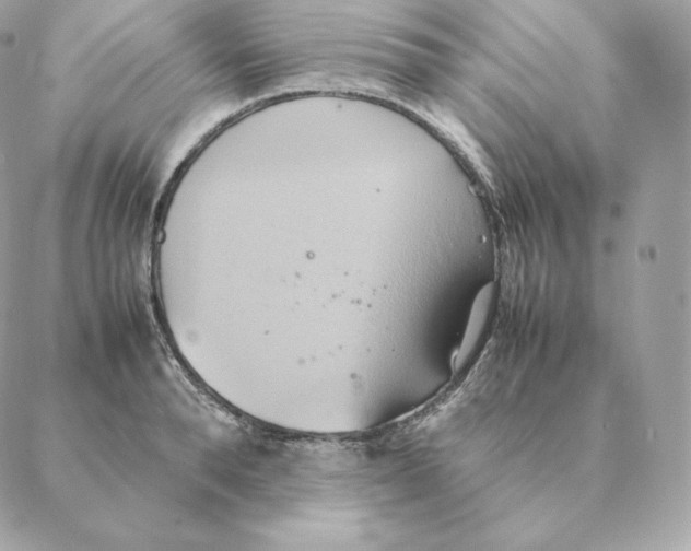 X0000088210896200706051254