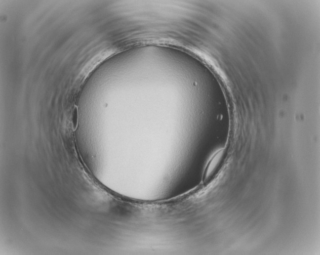 X0000088210897200706051254